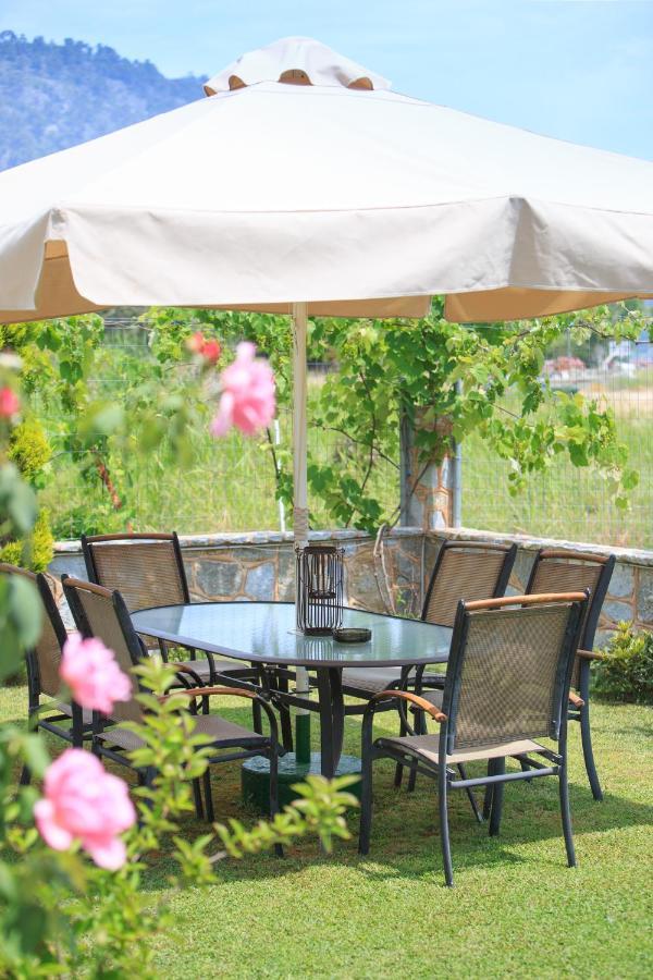 Anastasia Studios Skala Potamia  Extérieur photo
